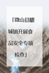 微山县驩城镇开展食品安全专项检查