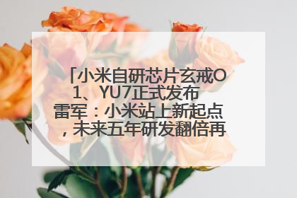 小米自研芯片玄戒O1、YU7正式发布 雷军：小米站上新起点，未来五年研发翻倍再投2000亿元