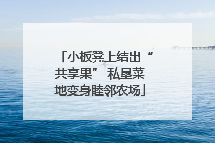 小板凳上结出“共享果” 私垦菜地变身睦邻农场