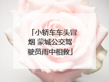 小轿车车头冒烟 蒙城公交驾驶员雨中相救