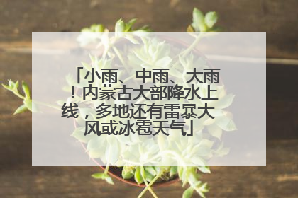 小雨、中雨、大雨！内蒙古大部降水上线，多地还有雷暴大风或冰雹天气