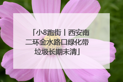 小8跑街丨西安南二环金水路口绿化带垃圾长期未清