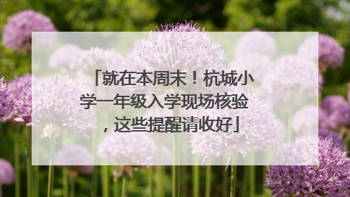 就在本周末！杭城小学一年级入学现场核验，这些提醒请收好