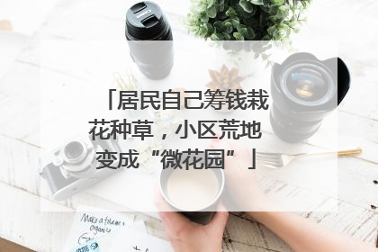 居民自己筹钱栽花种草，小区荒地变成“微花园”