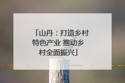 山丹：打造乡村特色产业 推动乡村全面振兴