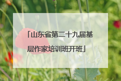 山东省第二十九届基层作家培训班开班