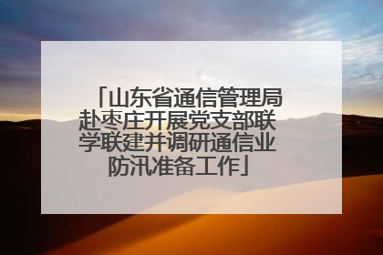 山东省通信管理局赴枣庄开展党支部联学联建并调研通信业防汛准备工作