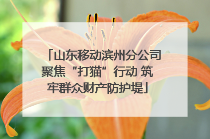 山东移动滨州分公司聚焦“打猫”行动 筑牢群众财产防护堤
