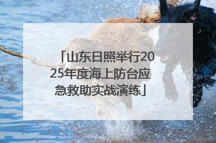 山东日照举行2025年度海上防台应急救助实战演练