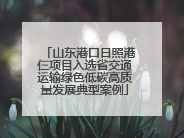 山东港口日照港仨项目入选省交通运输绿色低碳高质量发展典型案例