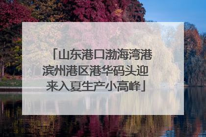 山东港口渤海湾港滨州港区港华码头迎来入夏生产小高峰