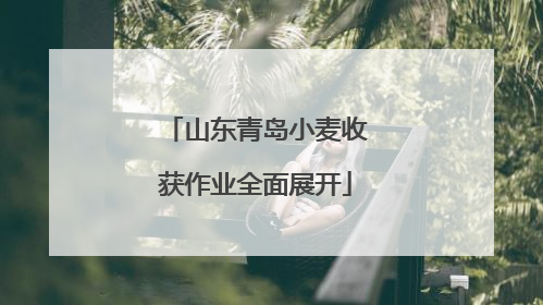 山东青岛小麦收获作业全面展开