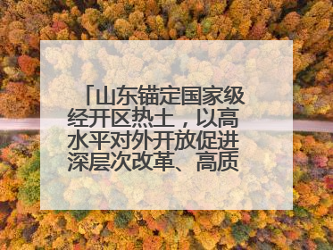 山东锚定国家级经开区热土，以高水平对外开放促进深层次改革、高质量发展