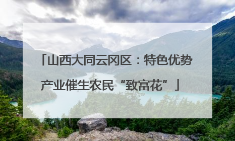山西大同云冈区：特色优势产业催生农民“致富花”