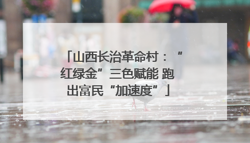 山西长治革命村：“红绿金”三色赋能 跑出富民“加速度”