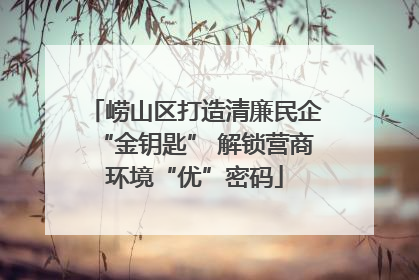 崂山区打造清廉民企“金钥匙” 解锁营商环境“优”密码