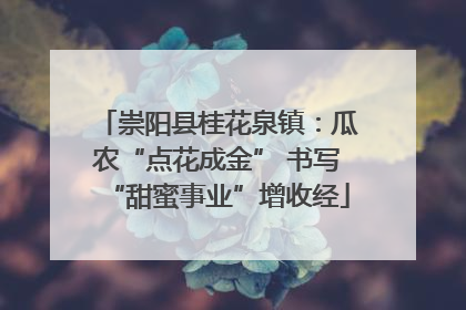崇阳县桂花泉镇：瓜农“点花成金” 书写“甜蜜事业”增收经