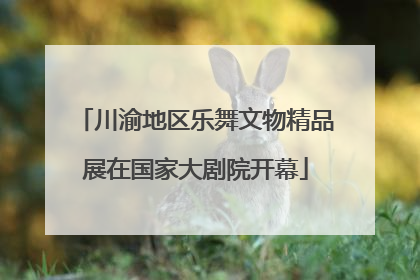 川渝地区乐舞文物精品展在国家大剧院开幕