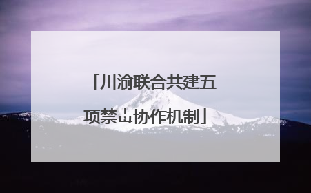 川渝联合共建五项禁毒协作机制