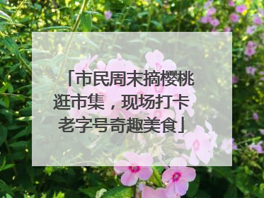 市民周末摘樱桃逛市集，现场打卡老字号奇趣美食