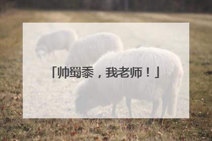 帅蜀黍，我老师！