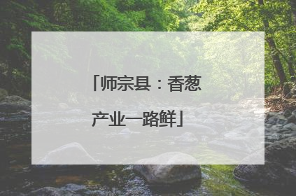 师宗县：香葱产业一路鲜