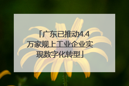 广东已推动4.4万家规上工业企业实现数字化转型
