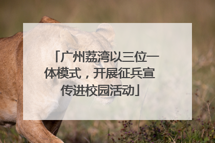 广州荔湾以三位一体模式，开展征兵宣传进校园活动
