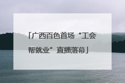广西百色首场“工会帮就业”直播落幕