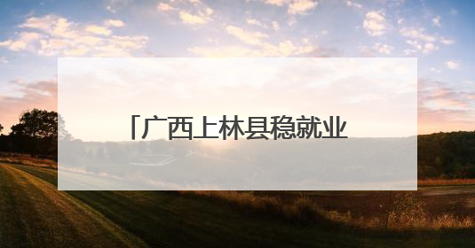 广西上林县稳就业十条措施破解“招工难”和“就业难”
