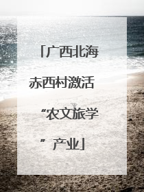 广西北海赤西村激活“农文旅学”产业