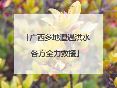 广西多地遭遇洪水 各方全力救援
