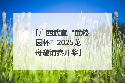广西武宣“武粮园杯”2025龙舟邀请赛开桨