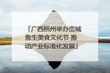 广西横州举办峦城鱼生美食文化节 推动产业标准化发展