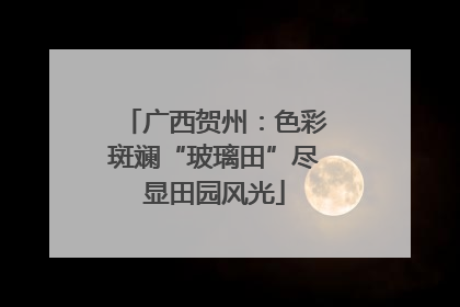 广西贺州：色彩斑斓“玻璃田”尽显田园风光