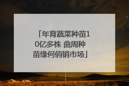 年育蔬菜种苗10亿多株 曲周种苗缘何俏销市场