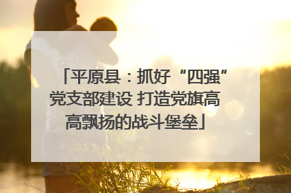 平原县：抓好“四强”党支部建设 打造党旗高高飘扬的战斗堡垒