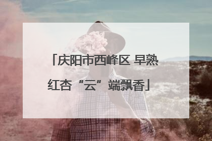 庆阳市西峰区 早熟红杏“云”端飘香