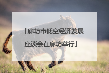 廊坊市低空经济发展座谈会在廊坊举行