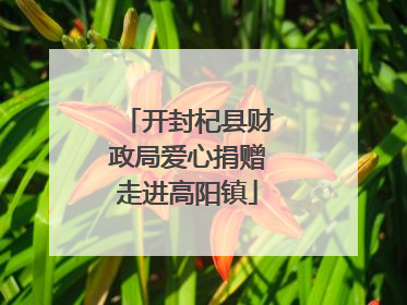 开封杞县财政局爱心捐赠走进高阳镇