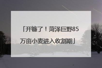 开镰了！菏泽巨野85万亩小麦进入收割期