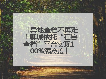 异地查档不再难！聊城依托“在鲁查档”平台实现100%满意度