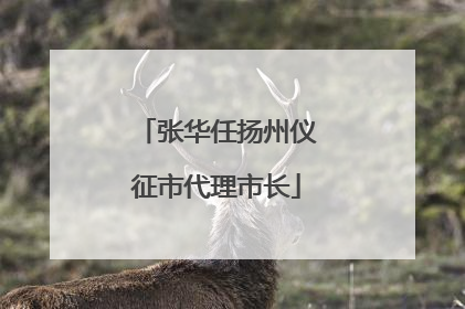 张华任扬州仪征市代理市长