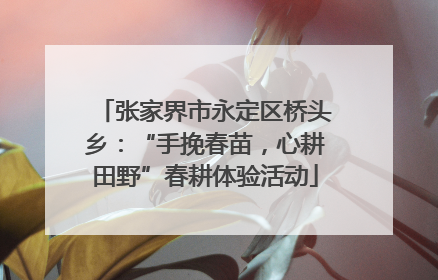 张家界市永定区桥头乡：“手挽春苗，心耕田野”春耕体验活动