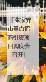 张家界市重点招商引资项目调度会召开