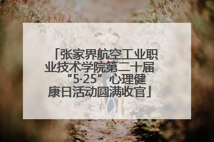 张家界航空工业职业技术学院第二十届“5·25”心理健康日活动圆满收官
