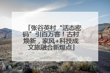 张谷英村“活态密码”引百万客！古村焕新，家风+科技成文旅融合新爆点