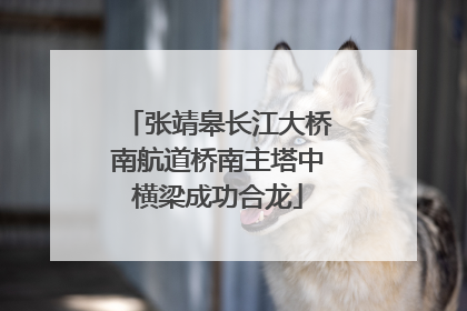 张靖皋长江大桥南航道桥南主塔中横梁成功合龙