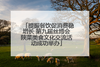 提振餐饮促消费稳增长 第九届丝博会陕菜美食文化交流活动成功举办