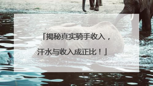 揭秘真实骑手收入，汗水与收入成正比！